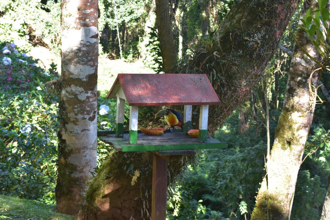 Pousada Amanita Monte Verde Monte Verde  Eksteriør bilde